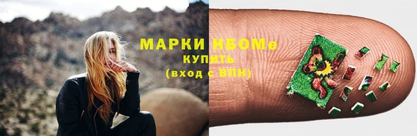 СК Новозыбков