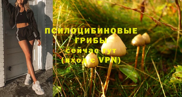 СК Новозыбков