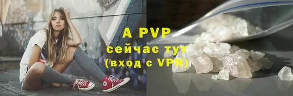 СК Новозыбков