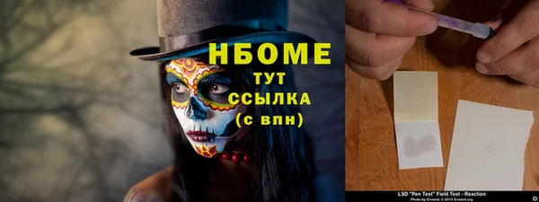 СК Новозыбков