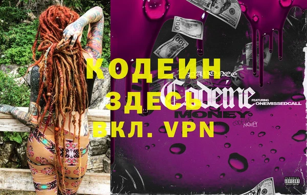 СК Новозыбков