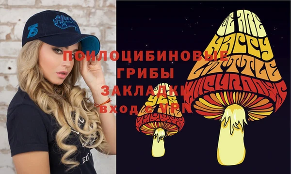 СК Новозыбков