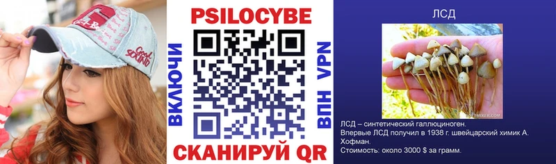 купить наркотики сайты  Почеп  Псилоцибиновые грибы Cubensis 